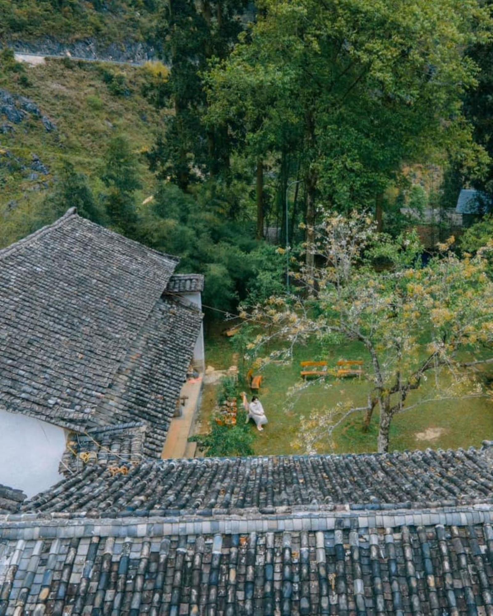 Voi Meo Vac Hostel & Breakfast Ngoại thất bức ảnh